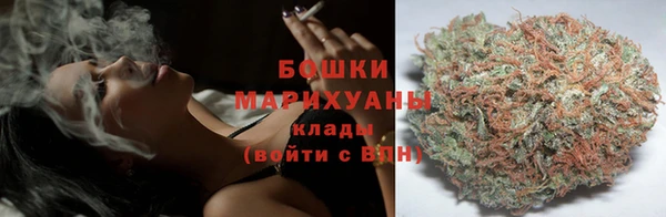 молекула духа Горнозаводск