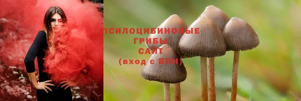 молекула духа Горнозаводск