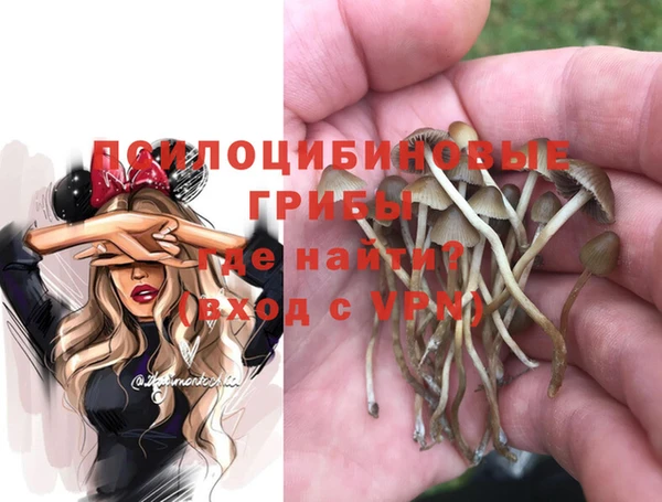 jwh Горняк
