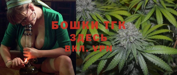 молекула духа Горнозаводск