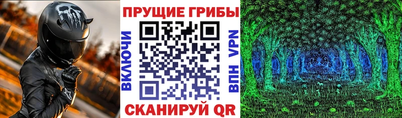 Псилоцибиновые грибы ЛСД  mega ссылки  мориарти официальный сайт  Кострома 